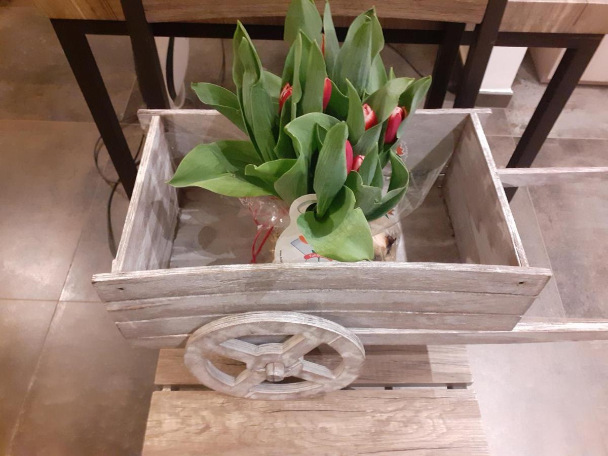 B&B Nido Sul Mare 알라시오 외부 사진